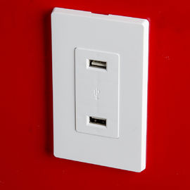 LD-U001 4.2A Akıllı Yüksek Hızlı USB Şarj Çubuğu, 2 Duvar Plakası ile 2 USB Port