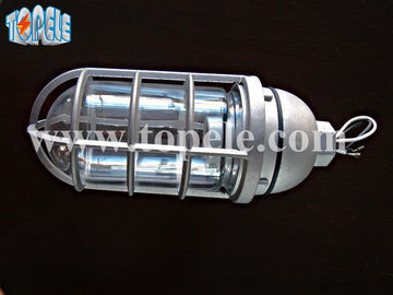 100W 220V Kırmızı Gri IP65 Buhar Kanıtlı Işıklar Ölür - Alüminyum dökme