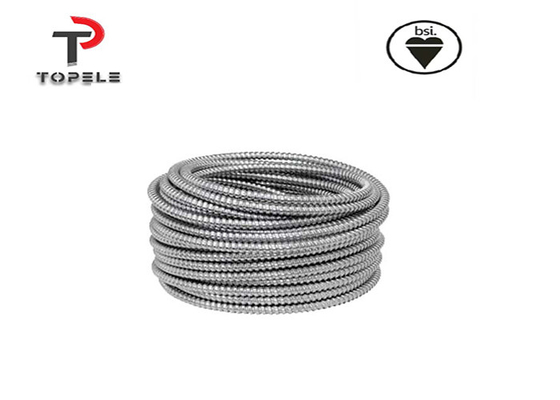 Esnek Hattı ve Fittings Metal Fmc Galvanizli Çelik